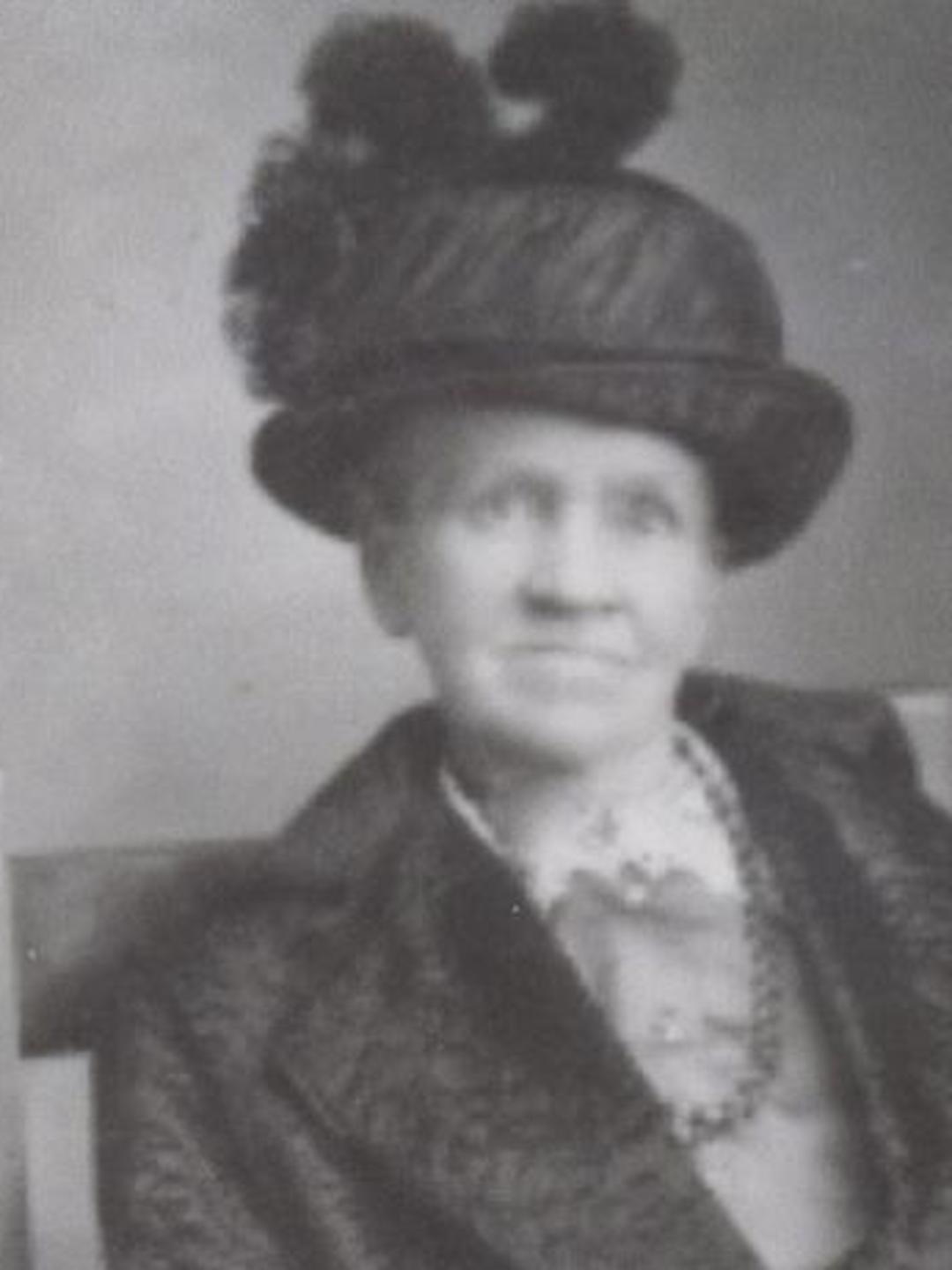 Susannah Stewart (1844 - 1927) Profile